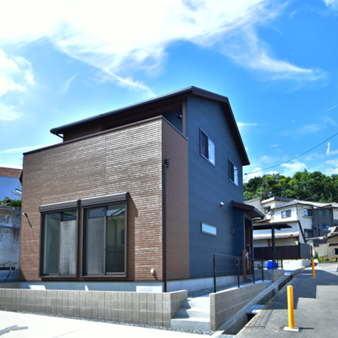 CCIS-01index
