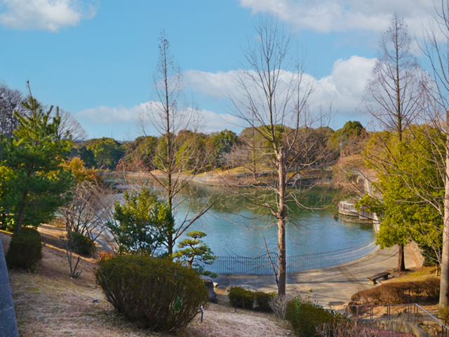 明治池公園