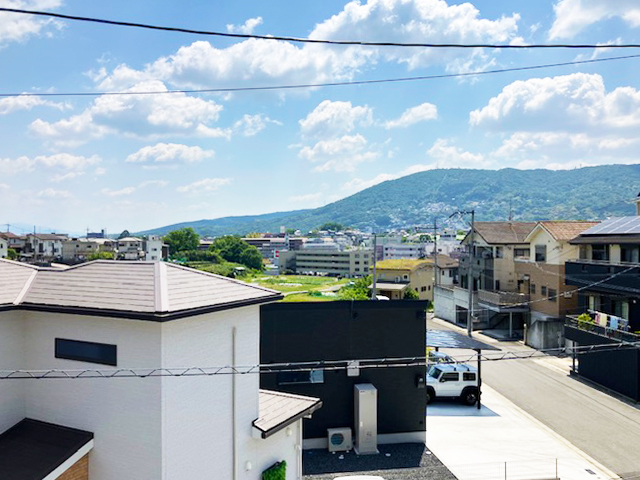 15号地写真14