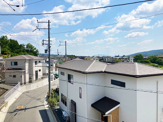 15号地写真15