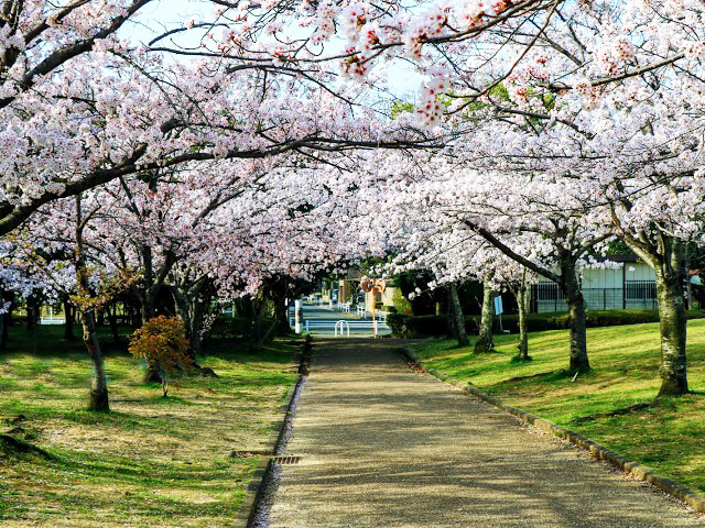 高塚地区公園