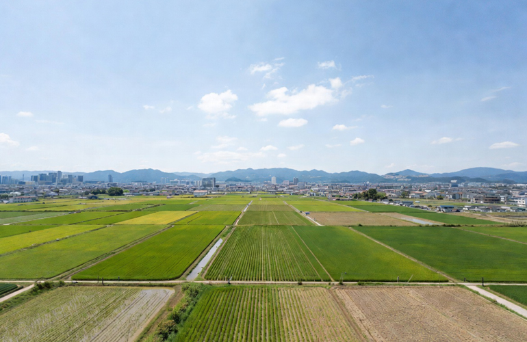 農地から工場用地へ-01