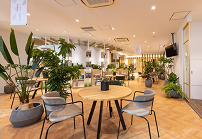 salon3