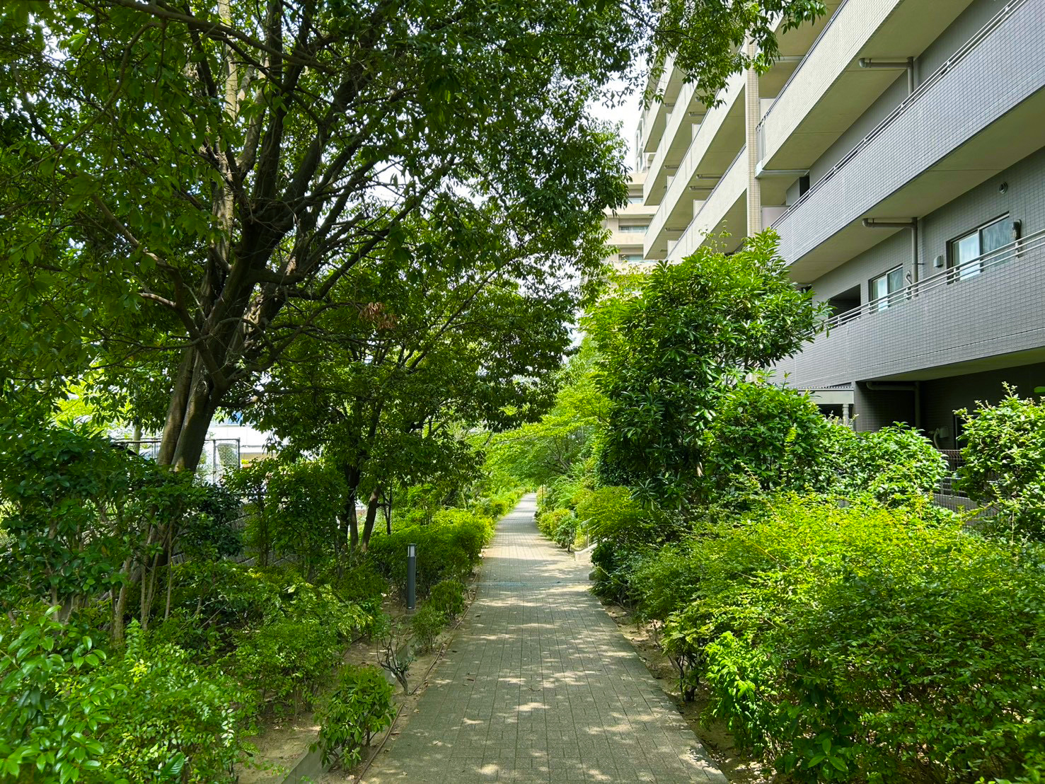 ジオ千里桃山台2番館-敷地内遊歩道