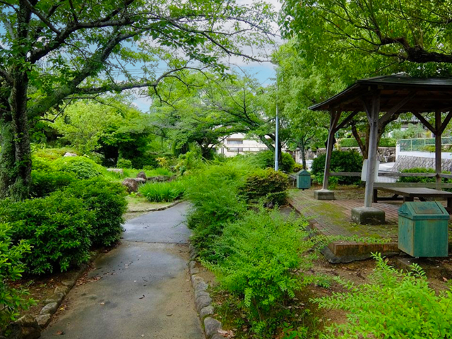 白鳥公園