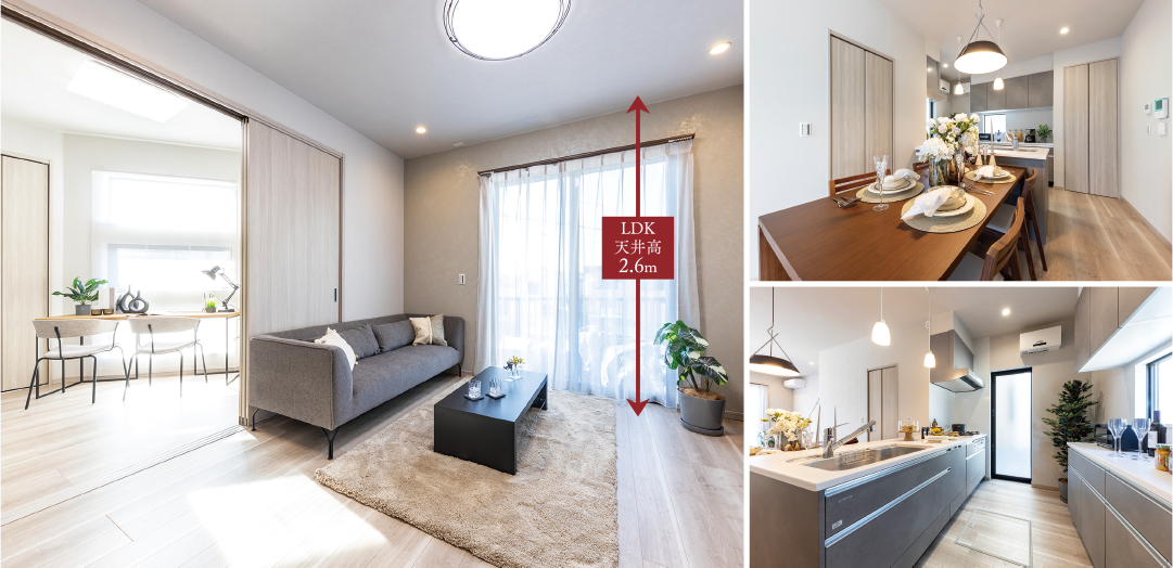 ModelHouse