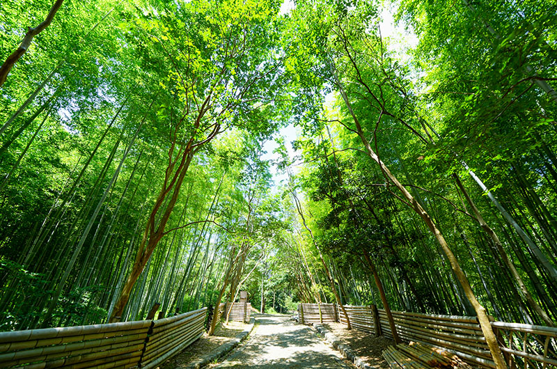 20250826千里東公園