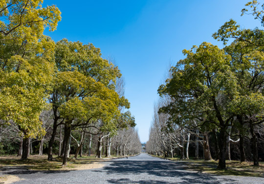 06万博記念公園