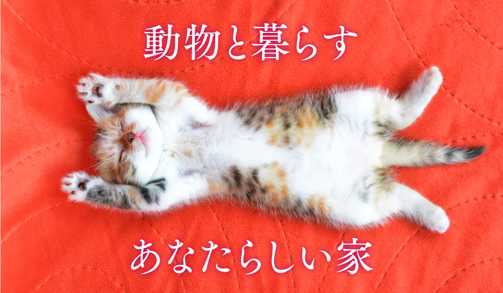 動物と暮らす-20250404